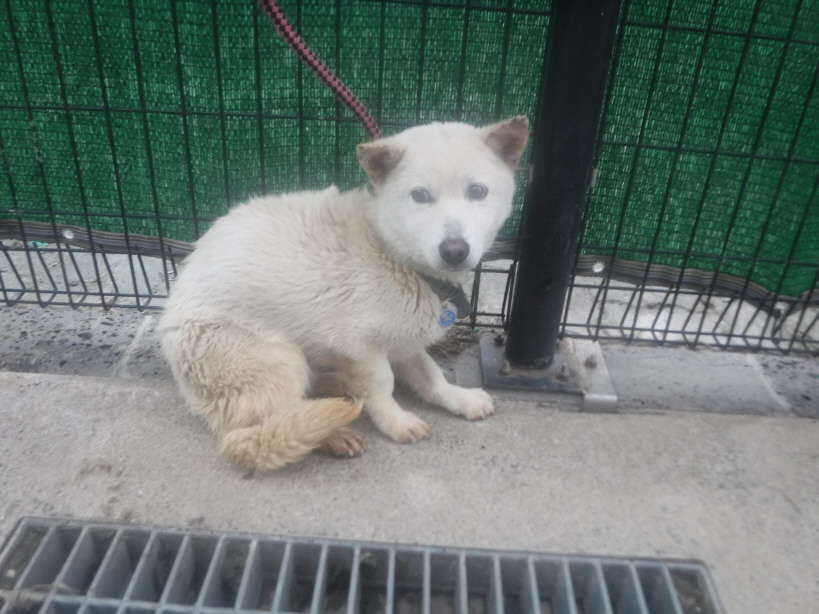 제주 동물보호센터_450650202301571